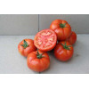 Професійне насіння Семена  томат низкорослый Уракан F1 20 шт. (4823058208626) - зображення 2