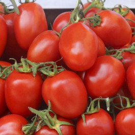Професійне насіння Семена  томат низкорослый Омния F1 20 шт. (4820176693365)