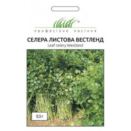 Професійне насіння Семена  сельдерей листовой Вестленд 0,5г (4823058202266)