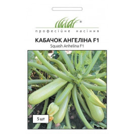 Професійне насіння Семена  кабачок Ангелина F1 5 шт. (4820176693723)