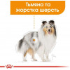 Royal Canin Coat Care 85 г (1184001) - зображення 3