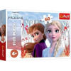 Trefl Disney Frozen 2 Волшебный мир Анны и Эльзы 60 эл (17333) - зображення 1