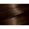 Garnier Краска для волос  Color Naturals 4 Каштан (3600540676733) - зображення 3