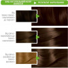 Garnier Краска для волос  Color Naturals 4 Каштан (3600540676733) - зображення 4