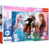 Trefl Frozen 2 Волшебное время 300 эл (23006) - зображення 1