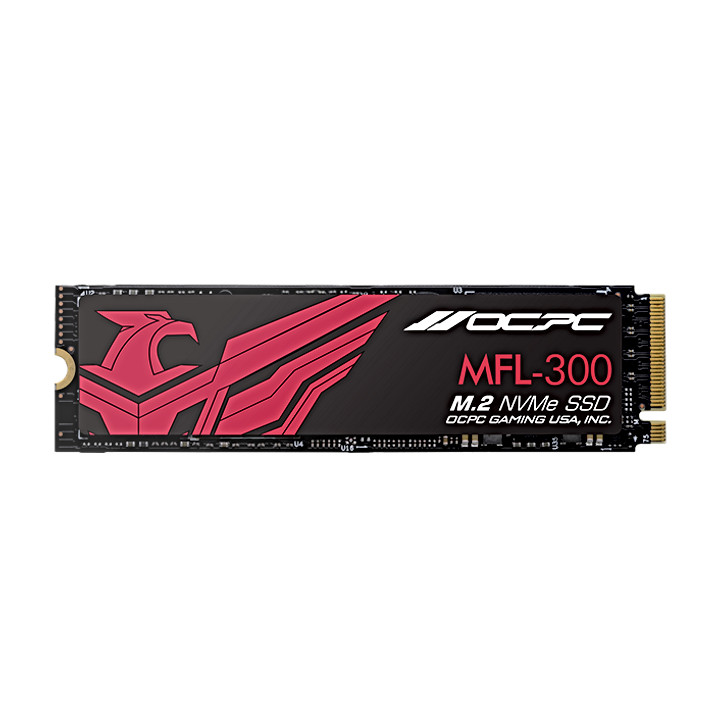 OCPC MFL-300 256 GB (SSDM2PCIEF256G) - зображення 1