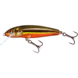 Salmo Minnow M6F (RBD)