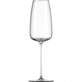 RONA Набор бокалов для шампанского  Bordeaux Orbital 360 мл 2 шт (7252/360)