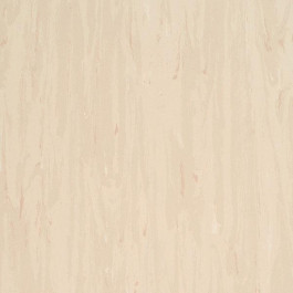 Armstrong Flooring Solid PUR (521-044)