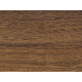 Polyflor Expona Bevelline Wood PUR (Rich Native Oak 2814)