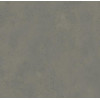 Forbo Allura Flex Decibel (435561 grey concrete) - зображення 1