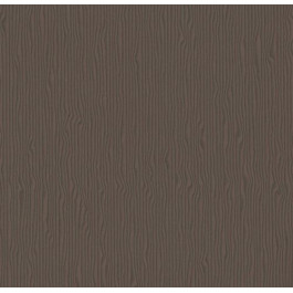 Armstrong Flooring Scala 100 Feature PUR (20153-146)