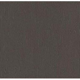 Armstrong Flooring Scala 100 Feature PUR (20153-154)