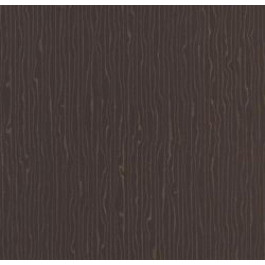 Armstrong Flooring Scala 100 Feature PUR (20152-169)