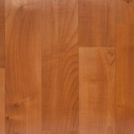 Armstrong Flooring Timberline PUR (373-062)