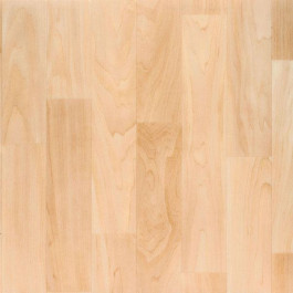 Armstrong Flooring Timberline PUR (373-042)