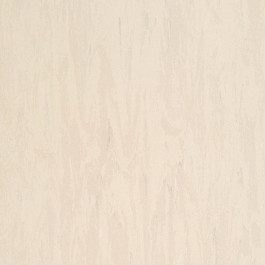 Armstrong Flooring Solid PUR (521-042)