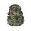 Texar Urban backpack / pl camo (38-URB-BP-PL) - зображення 1