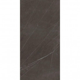   Fiandre Marble Lab Pietra Grey 60x120 (ASS194X864)