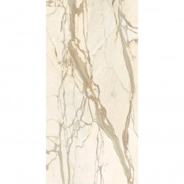   Fiandre Marble Lab Calacatta Elite 120х60, lucidato, 8мм (AL204X864)