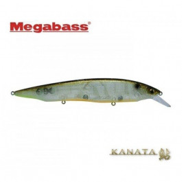   Megabass Kanata Ayu / SP-C / GLX Galaxy Shiner