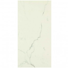   Marazzi Allmarble Statuario Lux 60х120 10mm (MMGQ)