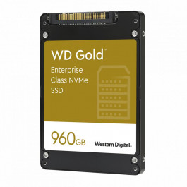 WD Gold 960 GB (WDS960G1D0D)