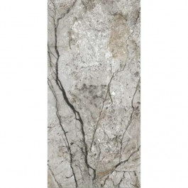   Opoczno MARBLE SKIN GREY MATT 60x120