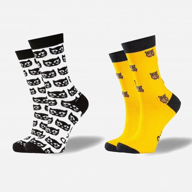 GoodSox Набор носков  Black Cats+Yellow owls 8052 35-40 2 пары Белый/Желтый (4820216456132) - зображення 1