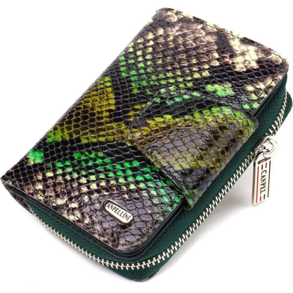 CANPELLINI Маленький жіночий гаманець натуральної шкіри з тисненням під змію  (2421732) - зображення 1