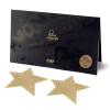 Bijoux Indiscrets Прикраси для сосків  Flash Glitter Pasties Star, золоті (8437008002804) - зображення 1