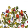 Althaus Чай трав'яний  Classic Herbs 15*3,5 г (4260312443957) - зображення 3