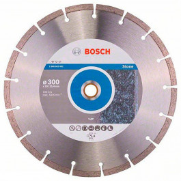   Bosch Professional for Stone300-20/25,4 (2608602602)