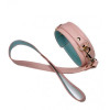 DS Fetish Collar with leash pink (261301143) - зображення 1
