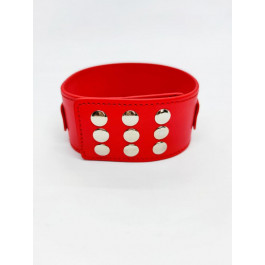 DS Fetish Collar with leash red metal (262012010)