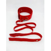 DS Fetish Collar with leash red metal (262012010) - зображення 2