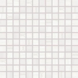 RAKO Boa White Mosaic Wdm02525 30*30 Мозаика