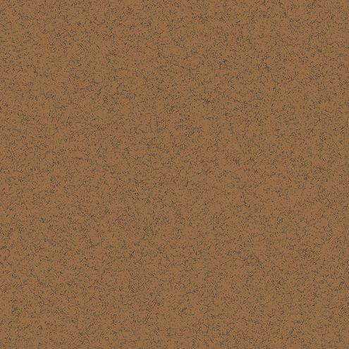 RAKO Linka Brown Dak63823 60*60 Плитка - зображення 1