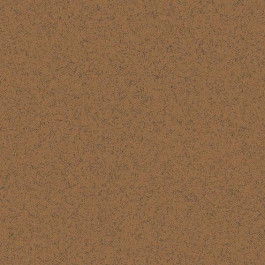   RAKO Linka Brown Dak63823 60*60 Плитка