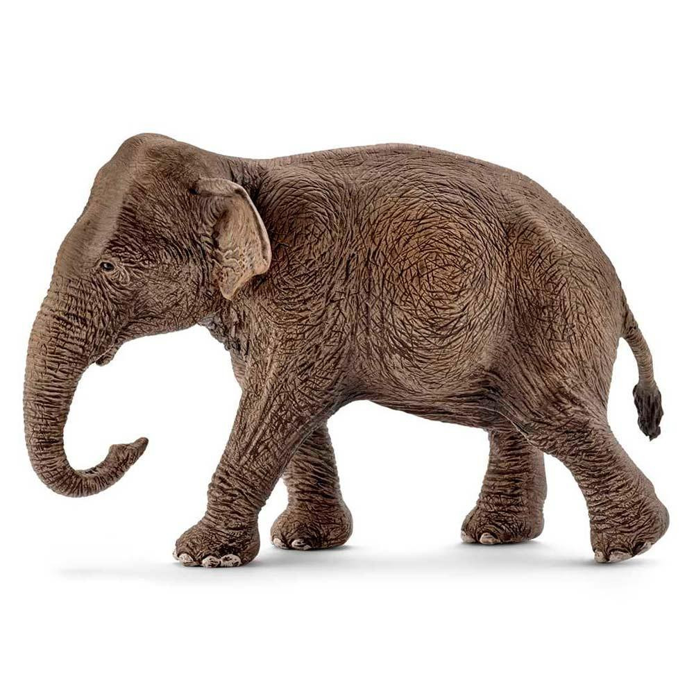 Schleich Азиатский слон самка (14753) - зображення 1