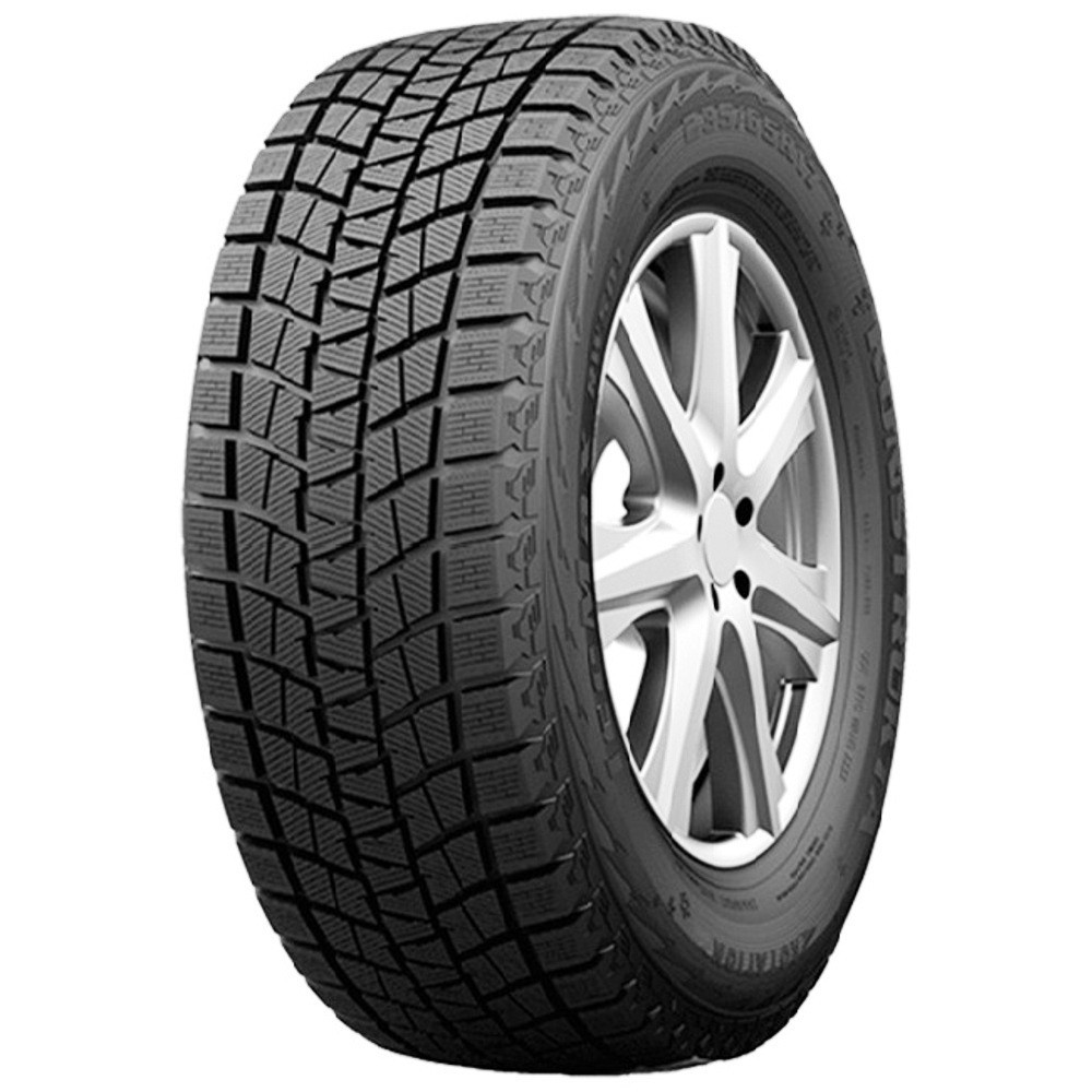 Habilead Ice Max RW 501 (205/55R17 95H) - зображення 1