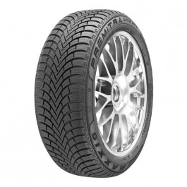 Maxxis Premitra Snow WP6 (175/65R14 82T)