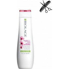Matrix Шампунь  Colorlast Shampoo для защиты крашеных волос 250 мл (3474630620766)