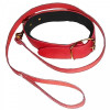 DS Fetish Collar with leash red (262000143) - зображення 1