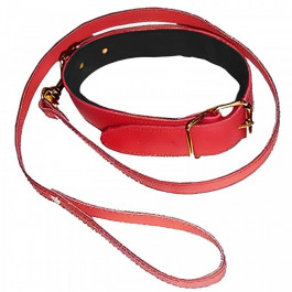 DS Fetish Collar with leash red (262000143)