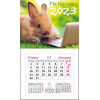 Діана Плюс Календар настінний  «Магніт» 2023 (9786177308255) - зображення 4