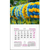 Діана Плюс Календар настінний  «Магніт» 2023 (9786177308255) - зображення 5