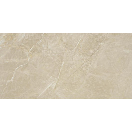   STN Ceramica Syrah Ivory Pul. Rect. 60*120 Плитка