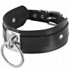 Fetish Tentation Ошейник с кольцом Fetish Tentation Choker Ring, чёрный (3479222013650) - зображення 1