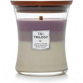 WoodWick Ароматична свіча  Medium Trilogy Amethyst Sky 275 г (1707527E)